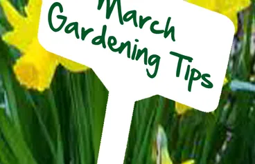 March gardening tips by Reg Moule