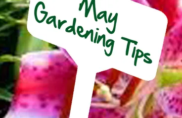 May Gardening Tips by Reg Moule