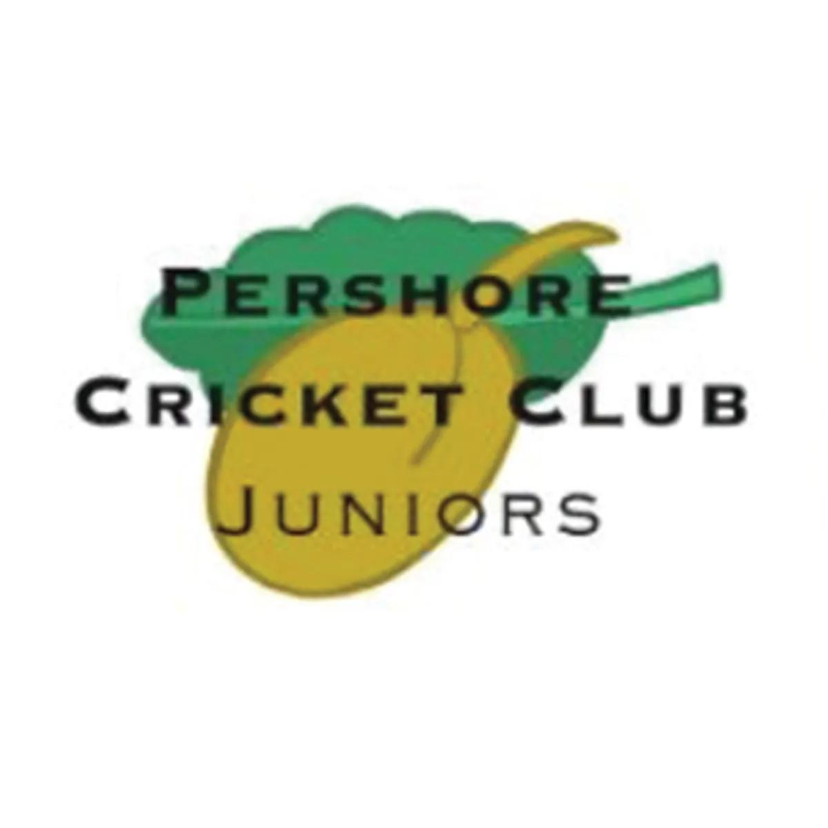 Summer Cricket Camp